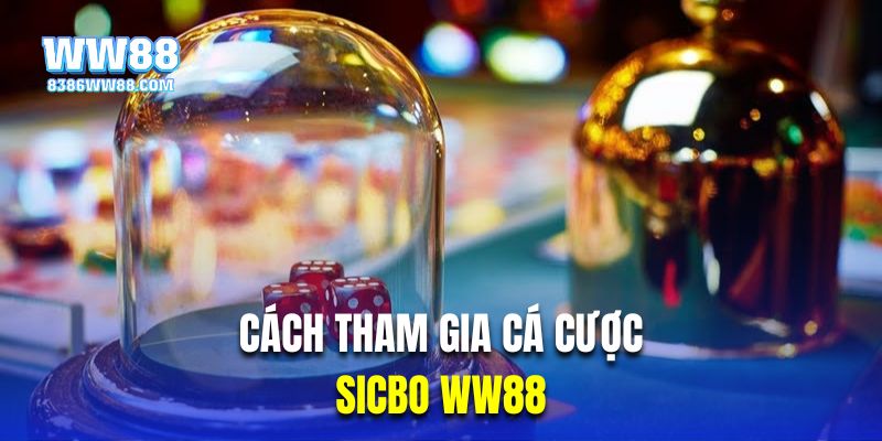 Cách tham gia cá cược tài xỉu tại nhà cái WW88