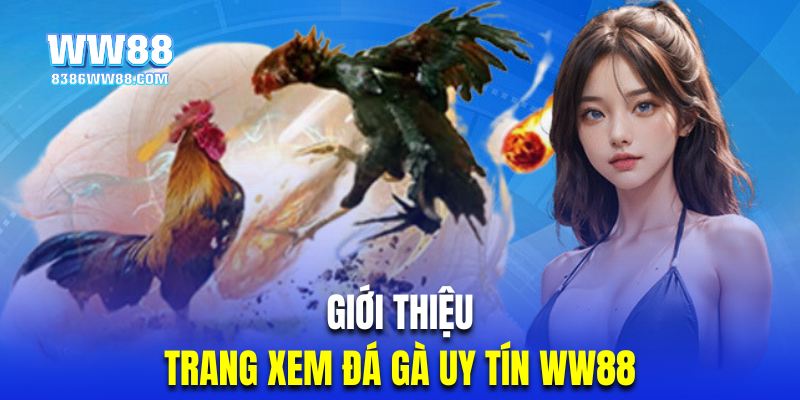 Giới thiệu trang xem đá gà uy tín trực tuyến WW88