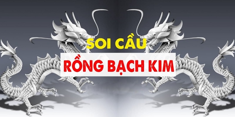 Bí quyết soi cầu rồng bạch kim hiệu quả WW88