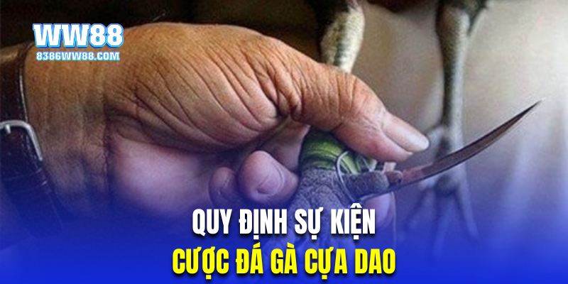 Những sự kiện chọi kê cưa dao được yêu thích nhất