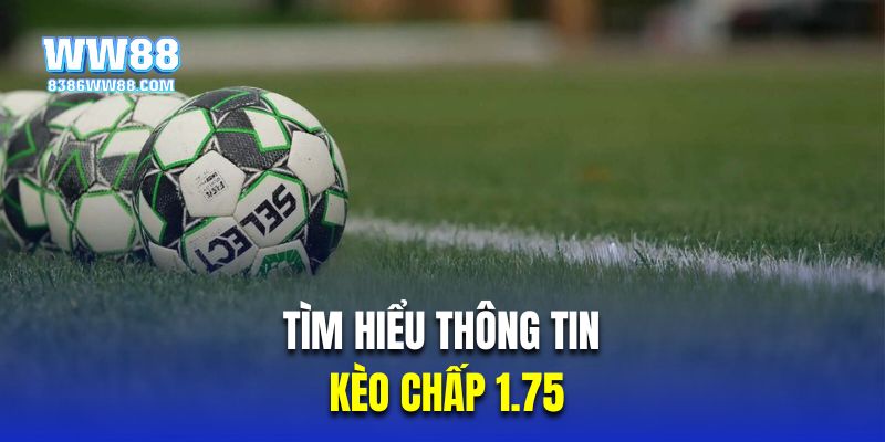 Tìm hiểu thông tin về cược chấp 3/4