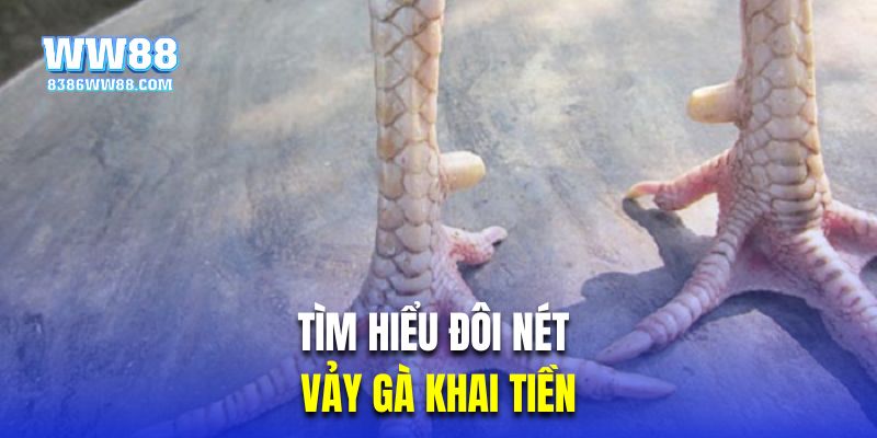 Tìm hiểu đôi nét về vảy khai tiền