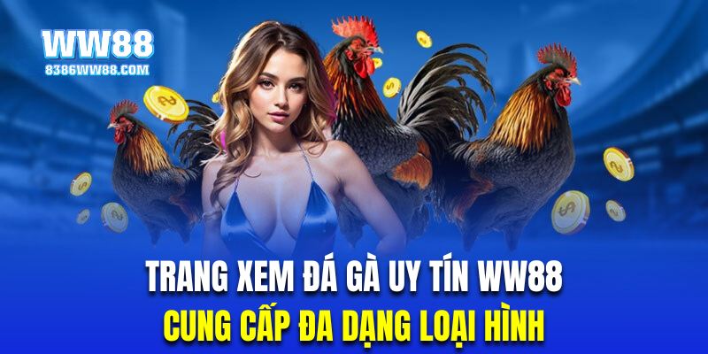 Trang xem đá gà uy tín nhà cái cung cấp vô vàn loại hình mới mẻ