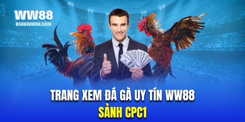 CPC1 là chuyên trang xem đá gà uy tín được yêu thích nhất nhà cái